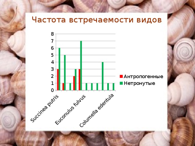 Частота встречаемости видов 