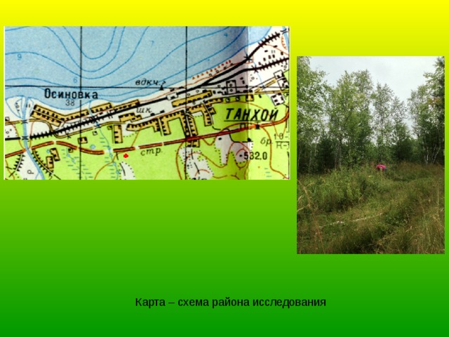 Карта – схема района исследования 