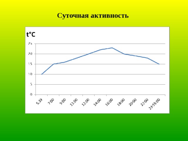 Суточная активность 