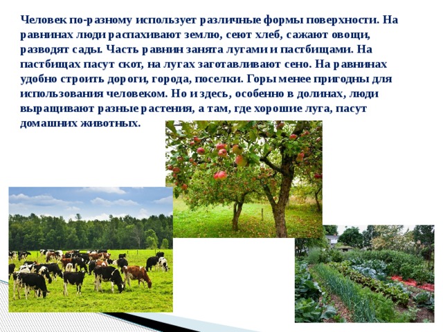 Человек по-разному использует различные формы поверхности. На равнинах люди распахивают землю, сеют хлеб, сажают овощи, разводят сады. Часть равнин занята лугами и пастбищами. На пастбищах пасут скот, на лугах заготавливают сено. На равнинах удобно строить дороги, города, поселки. Горы менее пригодны для использования человеком. Но и здесь, особенно в долинах, люди выращивают разные растения, а там, где хорошие луга, пасут домашних животных. 