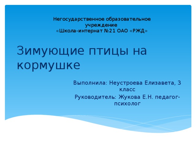 Негосударственное образовательное учреждение «Школа-интернат №21 ОАО «РЖД» Зимующие птицы на кормушке Выполнила: Неустроева Елизавета, 3 класс Руководитель: Жукова Е.Н. педагог-психолог 