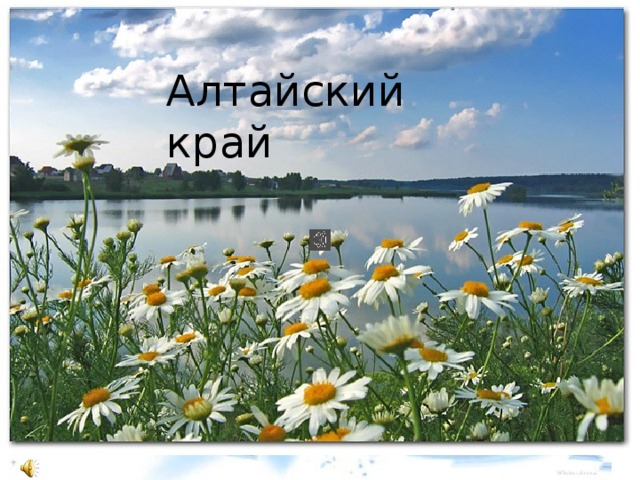 Алтайский край 