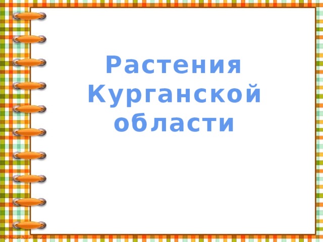 Растения Курганской области 