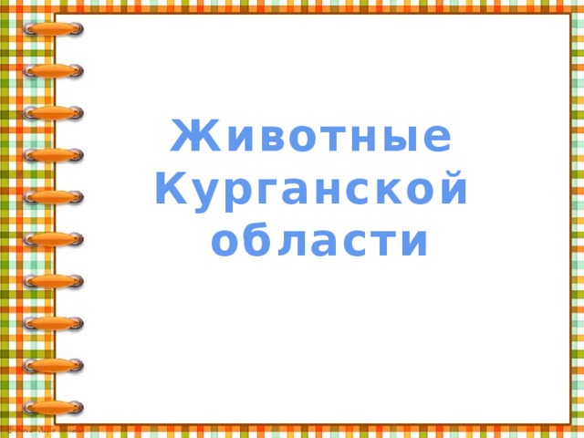 Животные Курганской области 