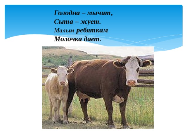 Голодна – мычит,  Сыта – жует.  Малым ребяткам  Молочка дает.   