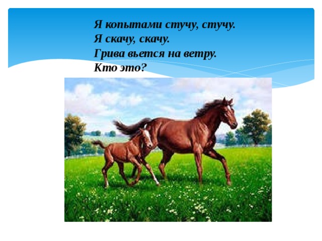 Я копытами стучу, стучу.  Я скачу, скачу.  Грива вьется на ветру.  Кто это?   