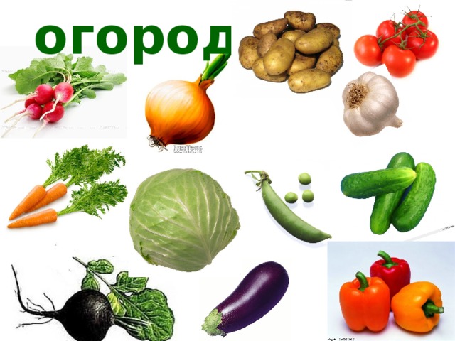 огород 