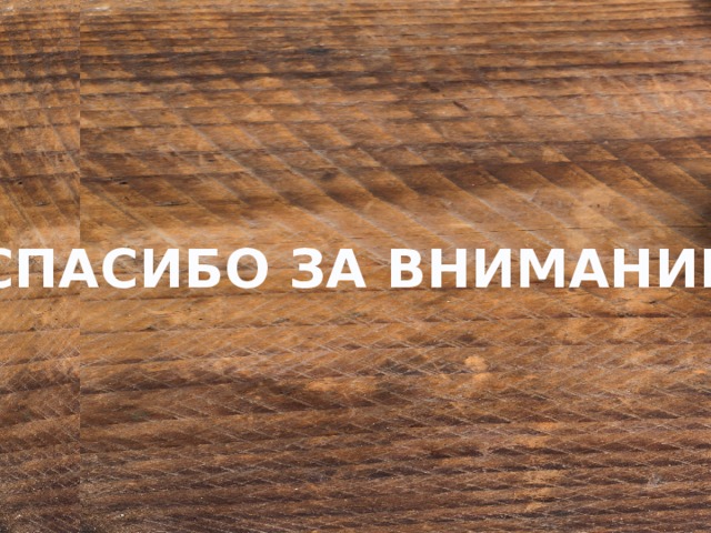 СПАСИБО ЗА ВНИМАНИЕ 