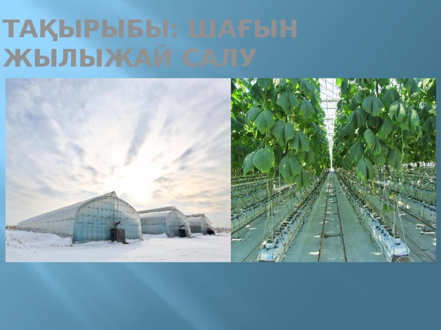 Тақырыбы:  Шағын жылыжай салу 