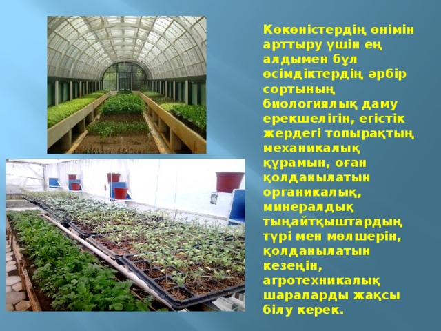 Көкөністердің өнімін арттыру үшін ең алдымен бұл өсімдіктердің әрбір сортының биологиялық даму ерекшелігін, егістік жердегі топырақтың механикалық құрамын, оған қолданылатын органикалық, минералдық тыңайтқыштардың түрі мен мөлшерін, қолданылатын кезеңін, агротехникалық шараларды жақсы білу керек.    