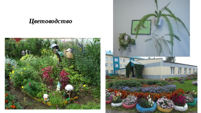   Цветоводство 