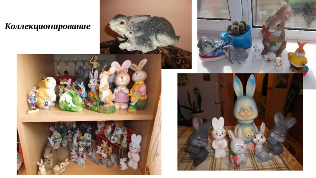  Коллекционирование 