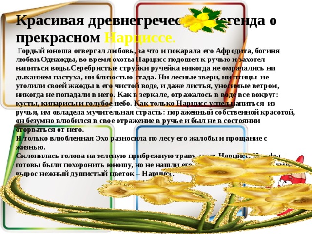 Красивая древнегреческая легенда о прекрасном Нарциссе .  Гордый юноша отвергал любовь, за что и покарала его Афродита, богиня любви.Однажды, во время охоты Нарцисс подошел к ручью и захотел напиться воды.Серебристые струйки ручейка никогда не омрачались ни дыханием пастуха, ни близостью стада. Ни лесные звери, ни птицы  не утолили своей жажды в его чистой воде, и даже листья, уносимые ветром, никогда не попадали в него. Как в зеркале, отражалось в воде все вокруг: кусты, кипарисы и голубое небо. Как только Нарцисс успел напиться  из ручья, им овладела мучительная страсть: пораженный собственной красотой, он безумно влюбился в свое отражение в ручье и был не в состоянии оторваться от него.  И только влюбленная Эхо разносила по лесу его жалобы и прощание с жизнью.  Склонилась голова на зеленую прибрежную траву, умер Нарцисс. Нимфы готовы были похоронить юношу, но не нашли его. А на том месте, где он умер, вырос нежный душистый цветок – Нарцисс.    