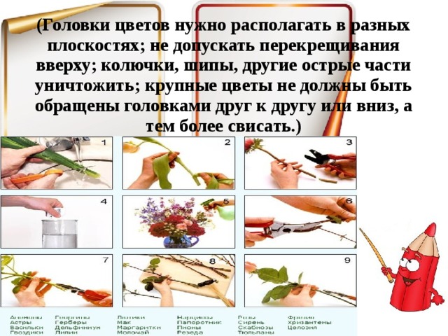 (Головки цветов нужно располагать в разных плоскостях; не допускать перекрещивания вверху; колючки, шипы, другие острые части уничтожить; крупные цветы не должны быть обращены головками друг к другу или вниз, а тем более свисать.)   