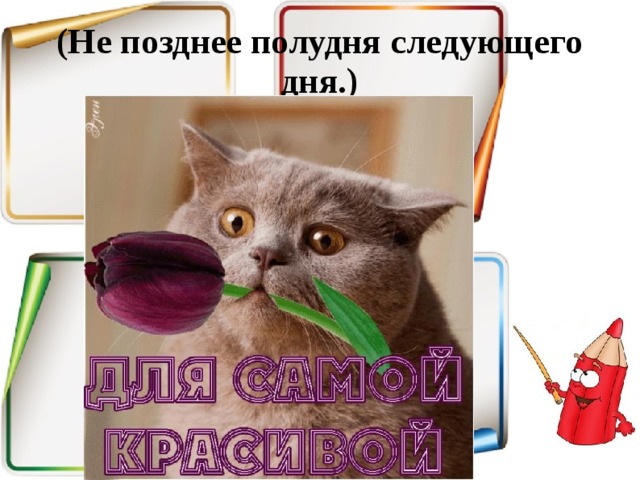 (Не позднее полудня следующего дня.) 