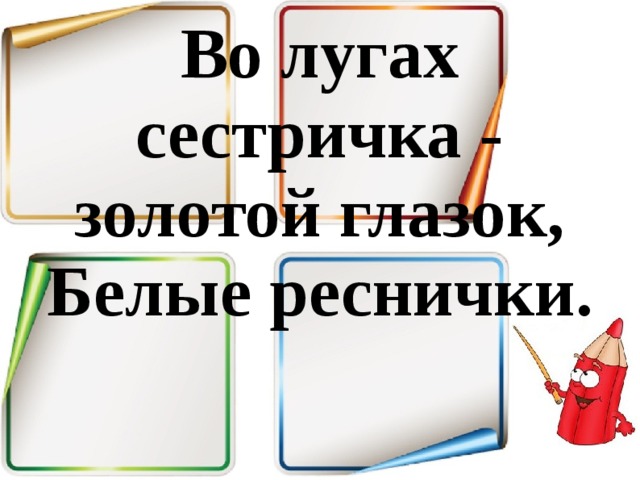 Во лугах сестричка - золотой глазок,  Белые реснички. 