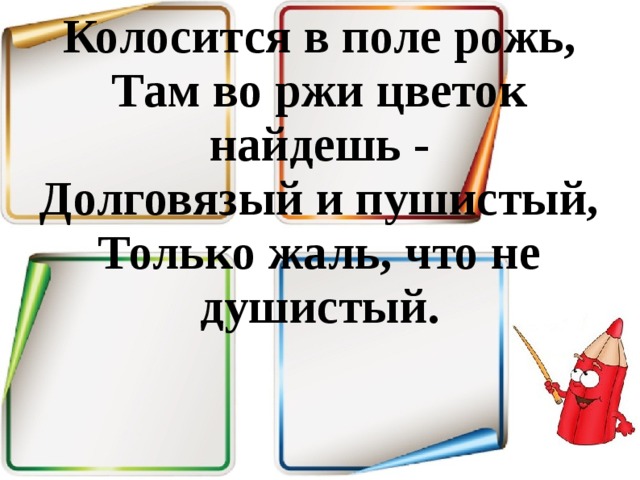 Колосится в поле рожь,  Там во ржи цветок найдешь -  Долговязый и пушистый,  Только жаль, что не душистый. 