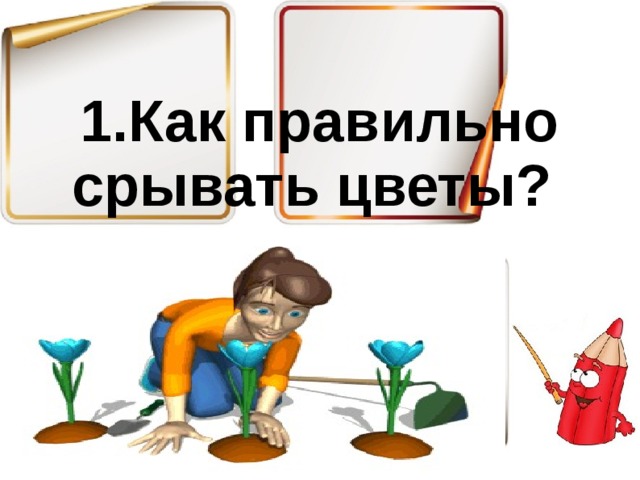 1.Как правильно срывать цветы? 