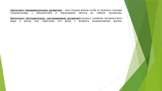 Онтогенез (индивидуальное развитие) – весь период жизни особи от момента слияния сперматозоида с яйцеклеткой и образования зиготы до гибели организма.   Филогенез (историческое, эволюционное развитие) - процесс развития органического мира в целом или отдельных его форм с момента возникновения жизни.   