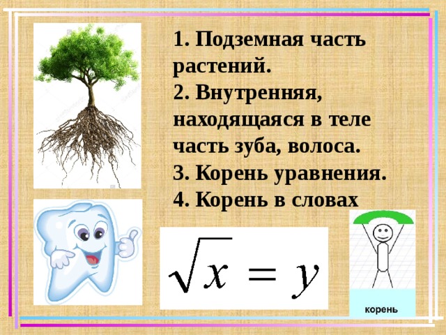 1. Подземная часть растений. 2. Внутренняя, находящаяся в теле часть зуба, волоса. 3. Корень уравнения. 4. Корень в словах            