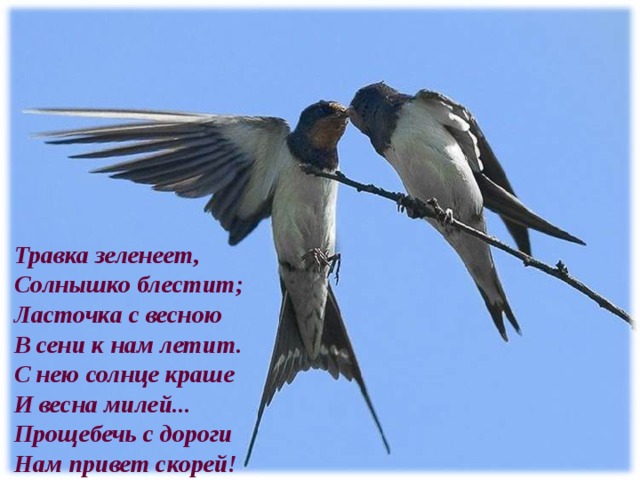 Травка зеленеет,  Солнышко блестит;  Ласточка с весною  В сени к нам летит.  С нею солнце краше  И весна милей...  Прощебечь с дороги  Нам привет скорей! 