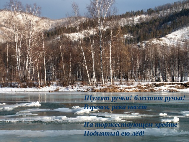 Шумят ручьи! блестят ручьи!  Взревев, река несёт   На торжествующем хребте  Поднятый ею лёд! 