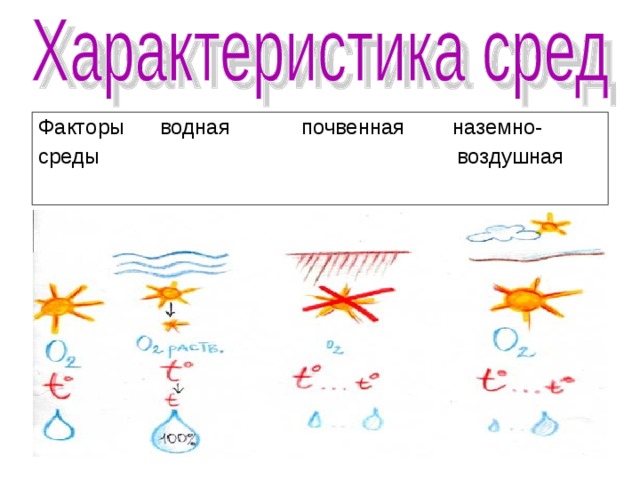 Факторы водная почвенная наземно- среды воздушная  