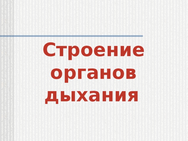 Строение органов дыхания 
