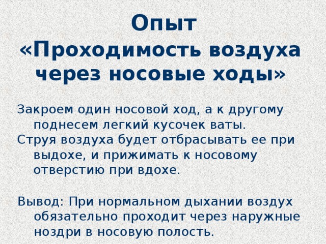 Опыт  «П роходимость воздуха  через носовые ходы» Закроем один носовой ход, а к другому поднесем легкий кусочек ваты. Струя воздуха будет отбрасывать ее при выдохе, и прижимать к носовому отверстию при вдохе. Вывод: При нормальном дыхании воздух обязательно проходит через наружные ноздри в носовую полость. 