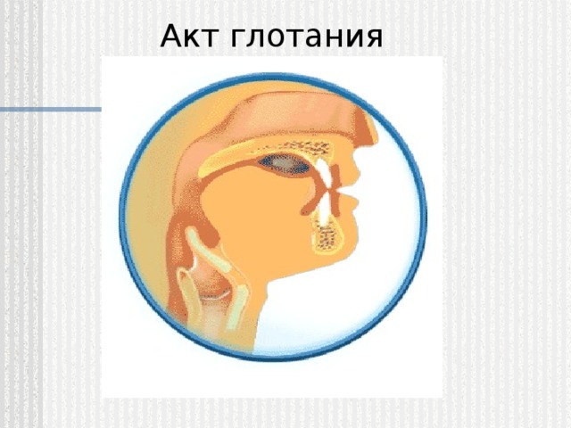 Акт глотания 