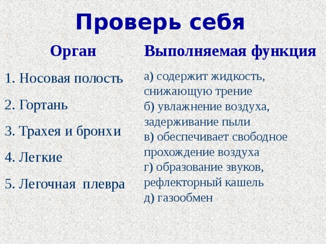 Проверь себя Орган Выполняемая функция 1. Носовая полость 2. Гортань 3. Трахея и бронхи 4. Легкие 5. Легочная плевра а) содержит жидкость, снижающую трение  б) увлажнение воздуха, задерживание пыли  в) обеспечивает свободное прохождение воздуха  г) образование звуков, рефлекторный кашель   д) газообмен 