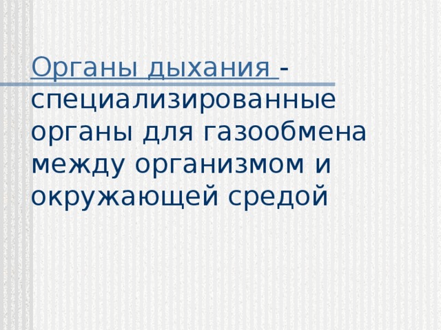 Органы дыхания  