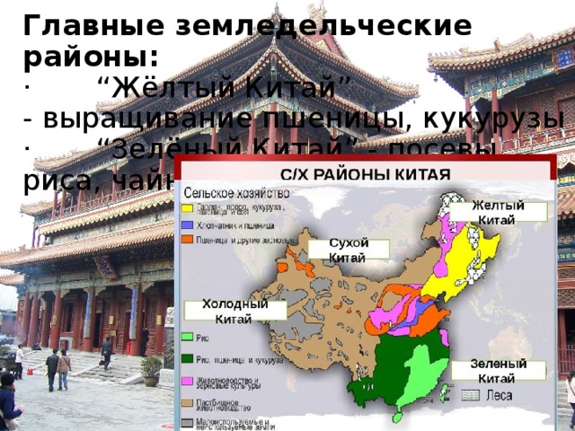 Главные земледельческие районы:  ·       “Жёлтый Китай” - выращивание пшеницы, кукурузы  ·       “Зелёный Китай” - посевы риса, чайные плантации.   начительную роль в экономике Китая играет сельское хозяйство, в котором занято около 450 млн. человек. На слайде (10) представлена краткая характеристика сельского хозяйства Китая. Главные земледельческие районы: ·       “Жёлтый Китай” - выращивание пшеницы, кукурузы ·       “Зелёный Китай” - посевы риса, чайные плантации.  