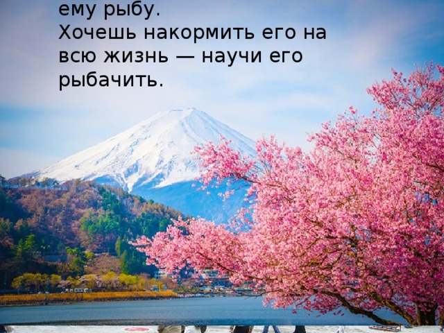 Хочешь накормить человека один раз — дай ему рыбу.  Хочешь накормить его на всю жизнь — научи его рыбачить.   Китайская мудрость  