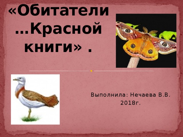 «Обитатели…Красной книги» . Выполнила: Нечаева В.В. 2018г. 