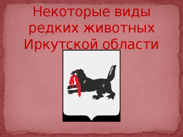 Некоторые виды редких животных Иркутской области 
