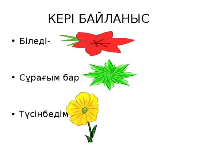 КЕРІ БАЙЛАНЫС Біледі- Сұрағым бар- Түсінбедім- 