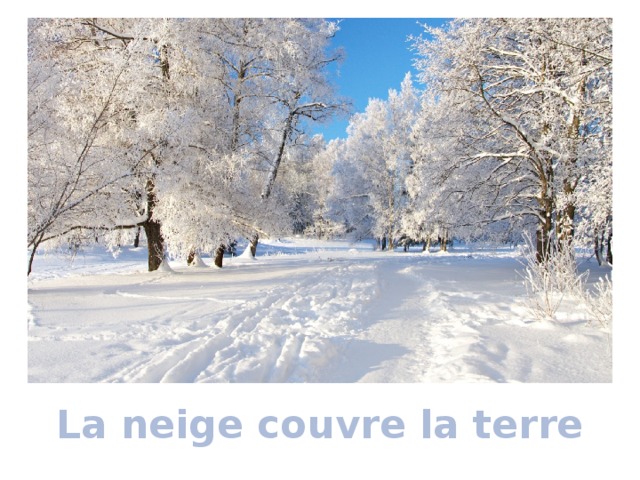 La neige couvre la terre 