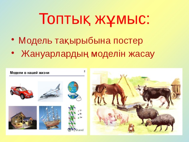 Топтық жұмыс: Модель тақырыбына постер  Жануарлардың моделін жасау 5 