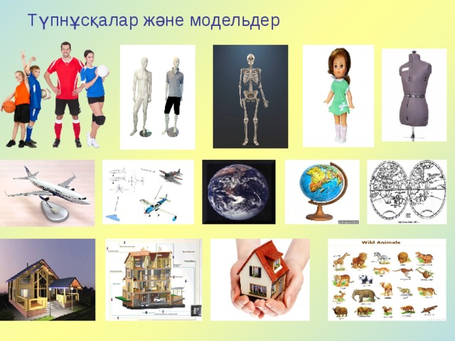 Түпнұсқалар және модельдер 5 