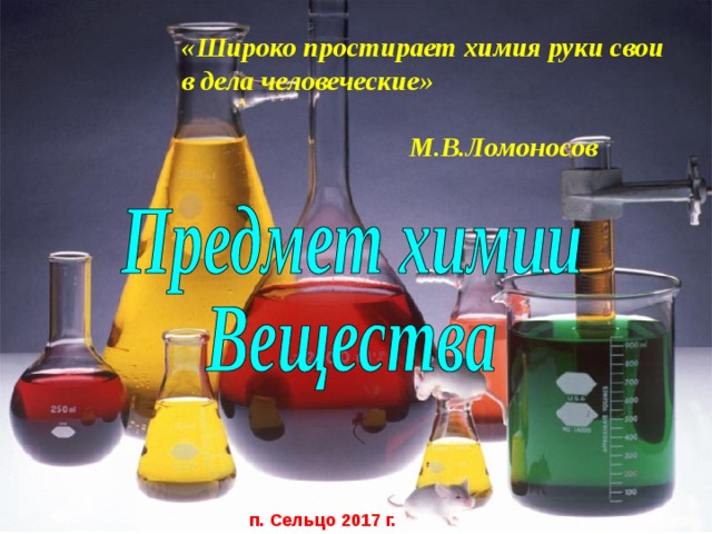 «Широко простирает химия руки свои в дела человеческие»  М.В.Ломоносов п. Сельцо 2017 г. 