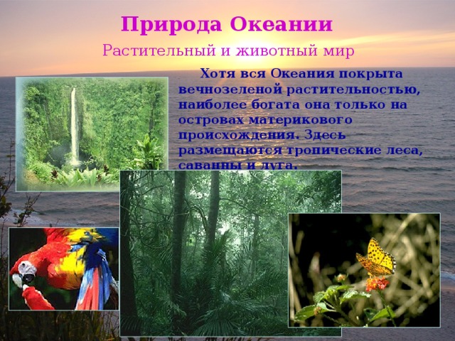 Природа Океании Растительный и животный мир  Хотя вся Океания покрыта вечнозеленой растительностью, наиболее богата она только на островах материкового происхождения. Здесь размещаются тропические леса, саванны и луга. 