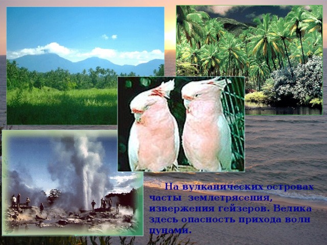  На вулканических островах часты землетрясения, извержения гейзеров. Велика здесь опасность прихода волн цунами. 