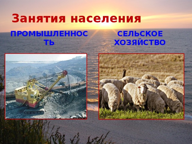 Занятия населения ПРОМЫШЛЕННОСТЬ СЕЛЬСКОЕ ХОЗЯЙСТВО 