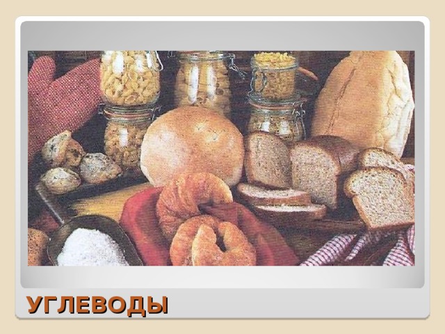 УГЛЕВОДЫ 