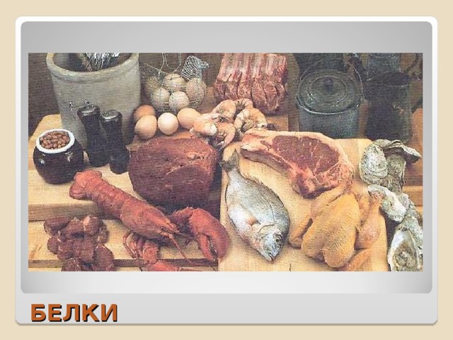 БЕЛКИ 