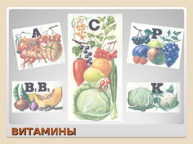 ВИТАМИНЫ 