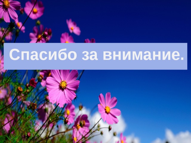  Спасибо за внимание.    