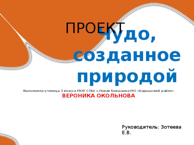 ПРОЕКТ Чудо, созданное природой  Выполнила ученица 3 класса МОУ СОШ с.Новая Бекшанка МО «Барышский район» ВЕРОНИКА ОКОЛЬНОВА Руководитель: Зотеева Е.В. 