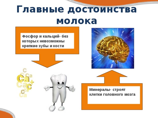 Главные достоинства молока Фосфор и кальций- без которых невозможны крепкие зубы и кости Минералы- строят клетки головного мозга  